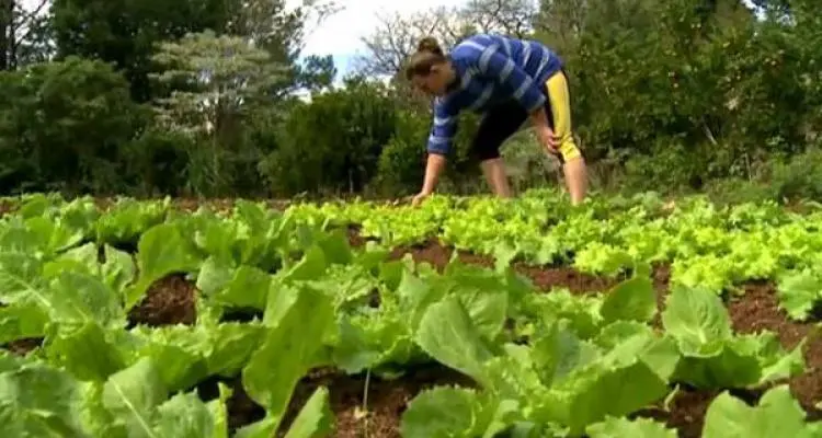 Reunión de agricultura familiar en Las Canaletas