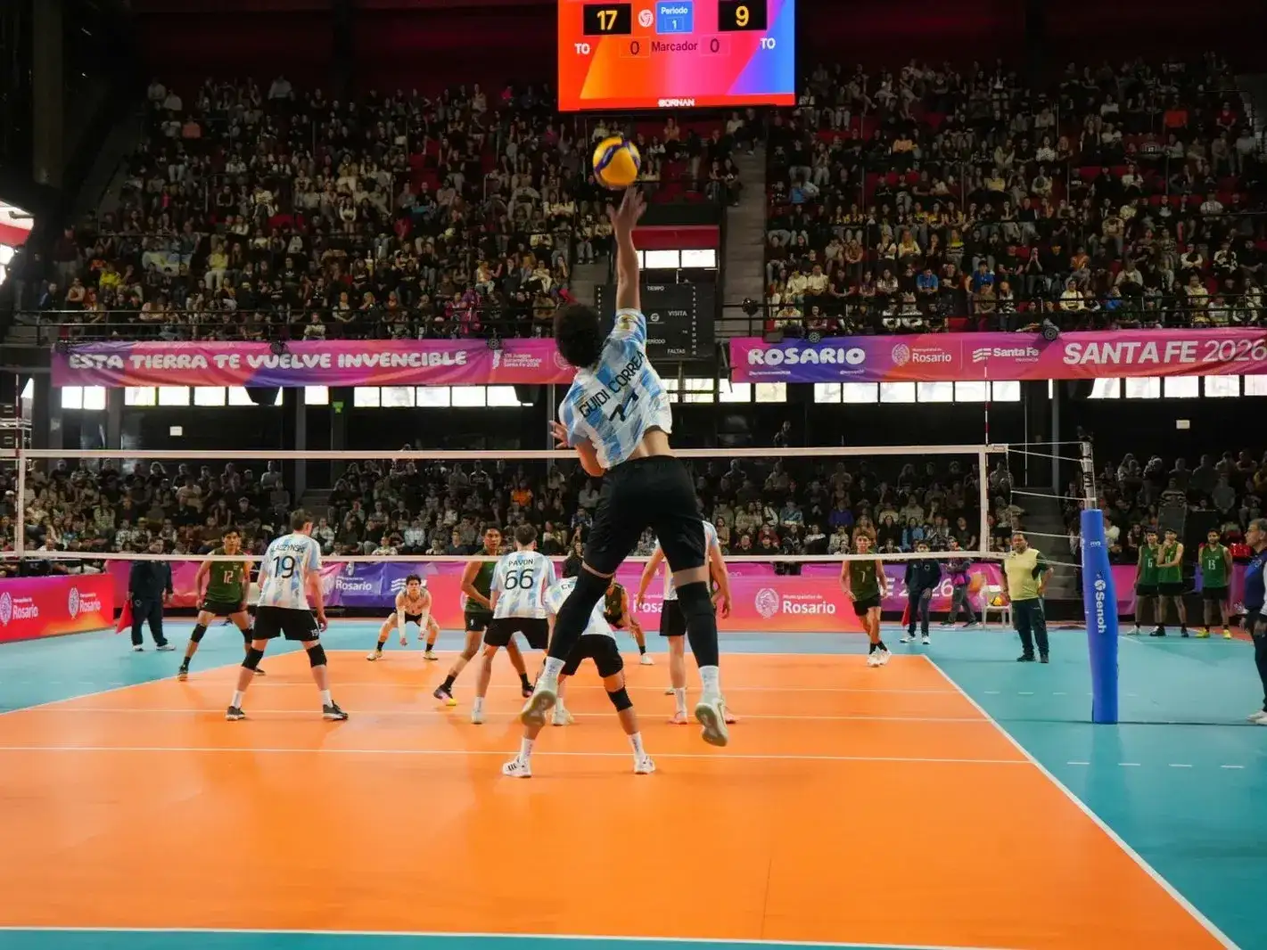 voley