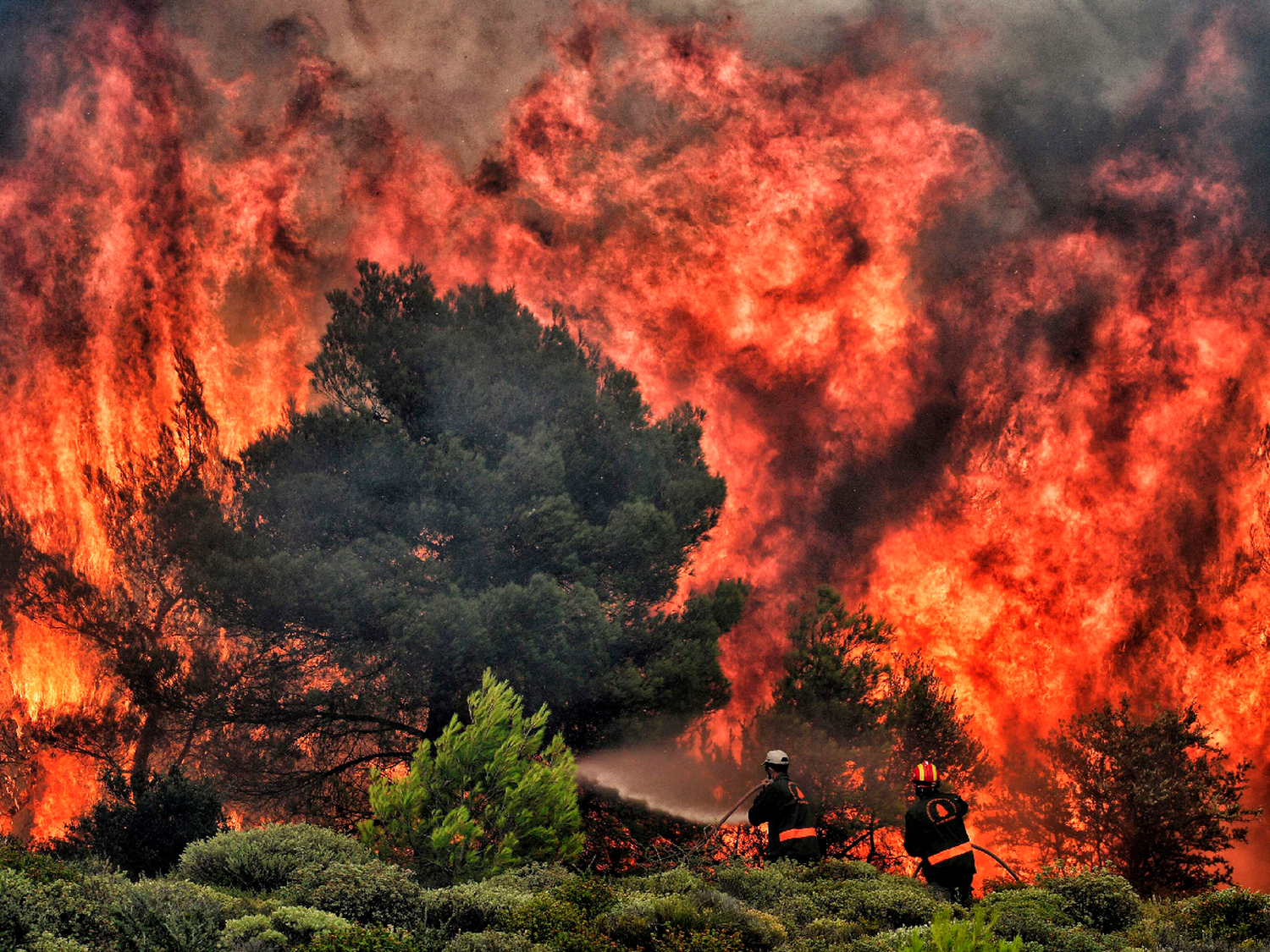 Incendios voraces dejan 74 muertos en Grecia