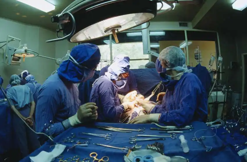 Revolución mundial: realizan el primer trasplante de cabeza