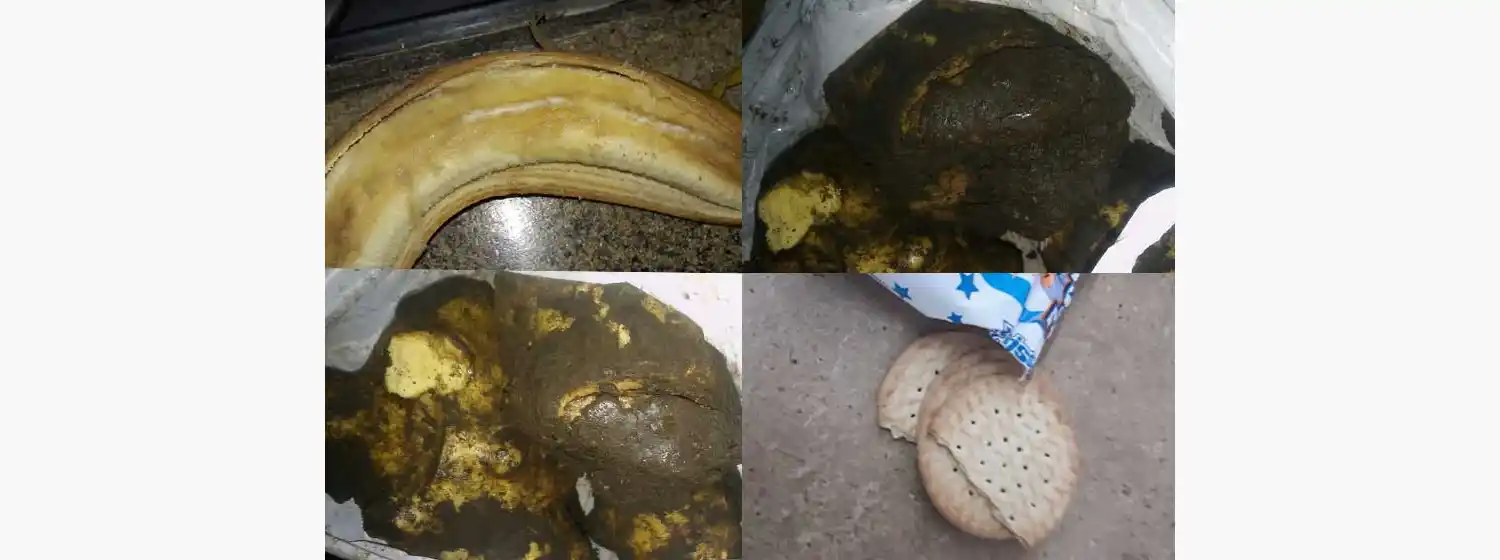 Servicio alimentario: las graves fallas que informaron los docentes