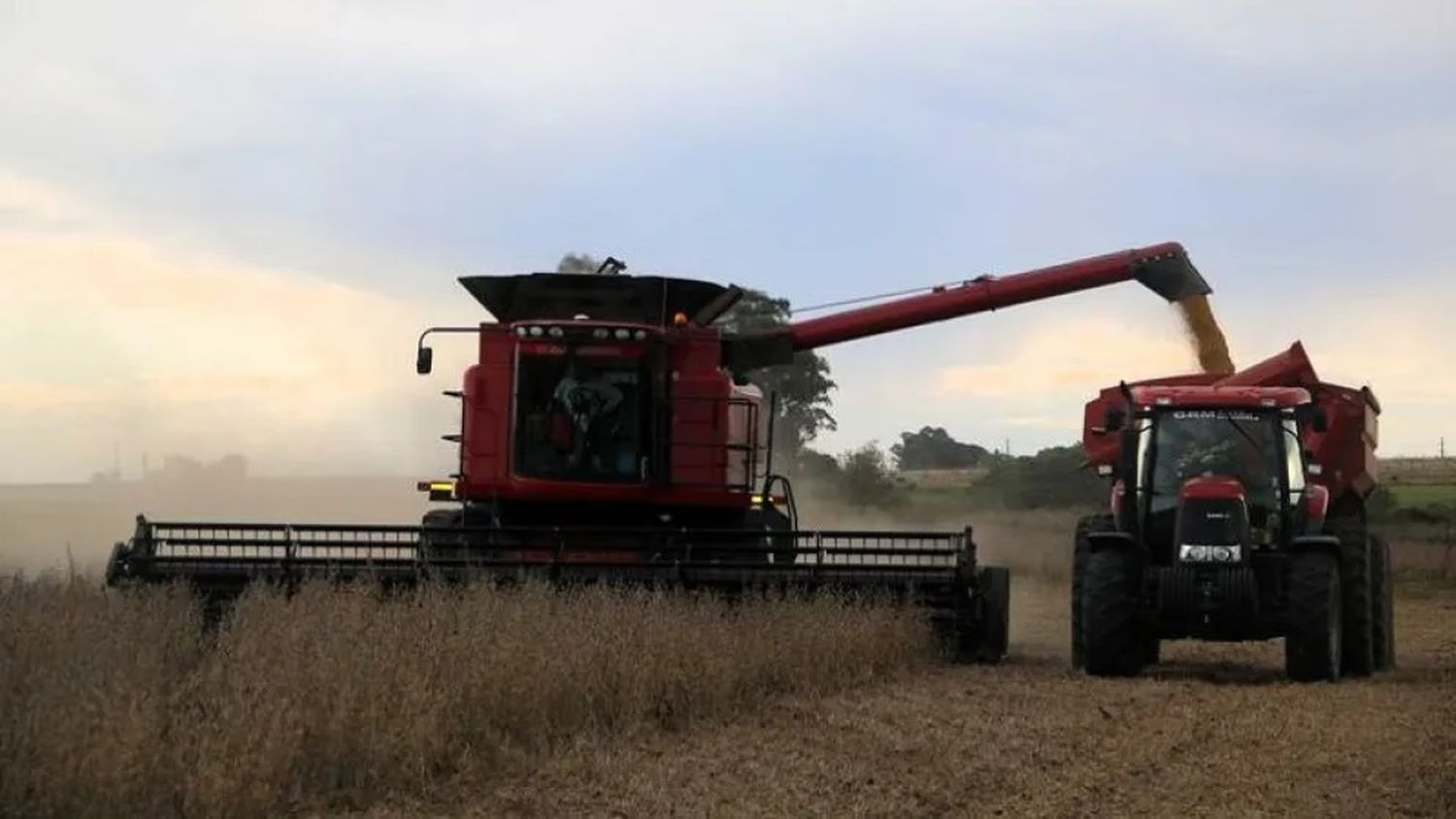 La Federación Agraria de Entre Ríos pidió eliminar las retenciones