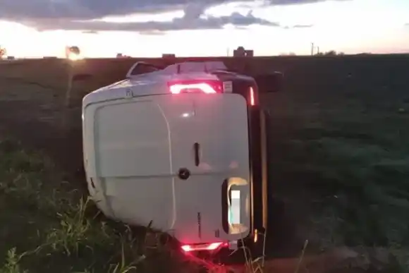 Insólito: chocó a una vaca que se le cruzó en la autopista y el animal terminó faenado
