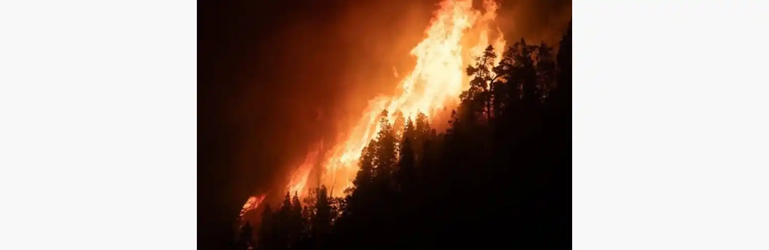 Lambertini explicó que un incendio se vuelve severo cuando confluyen condiciones climáticas y ambientales desfavorables.