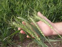 Tres señales sobre el futuro de la agricultura