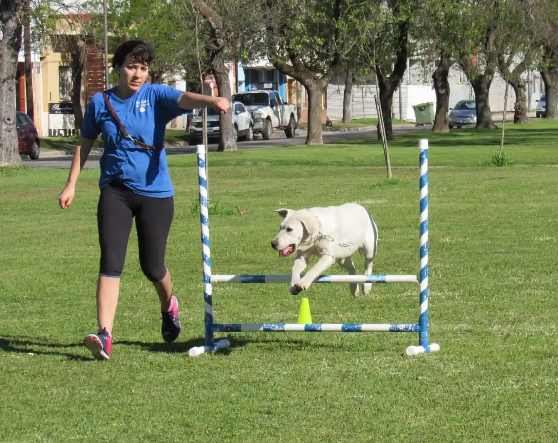 29 de Abril: Anuncian actividades por el Día del Animal en el parque de los Libres del Sur