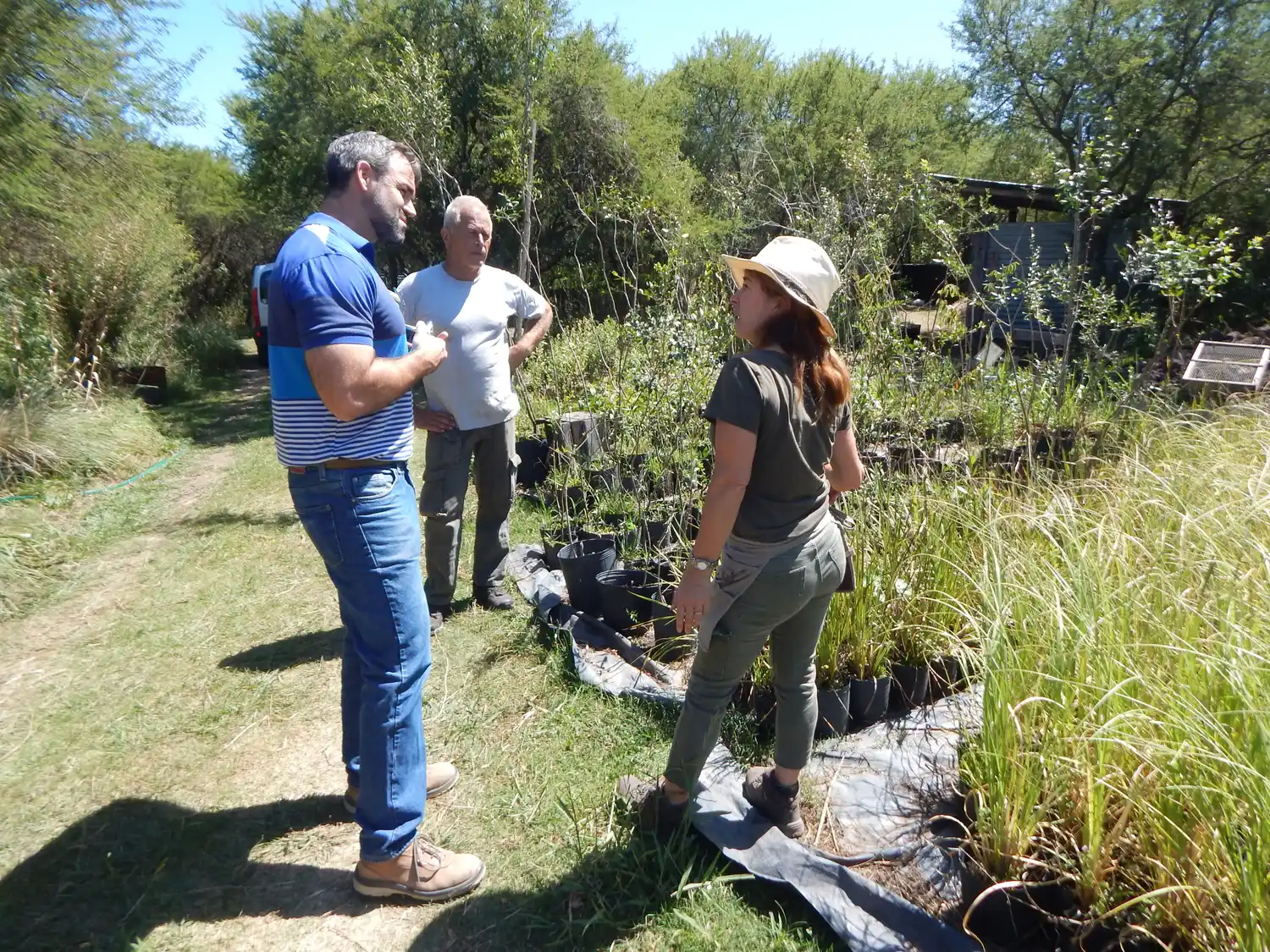 Buscan incrementar la producción de plantines florales y árboles nativos