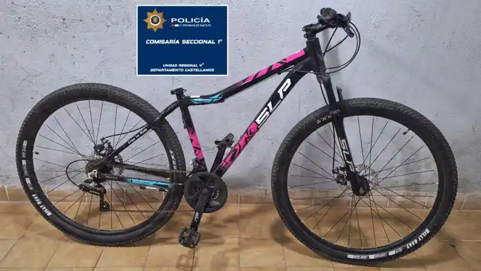 bici robada