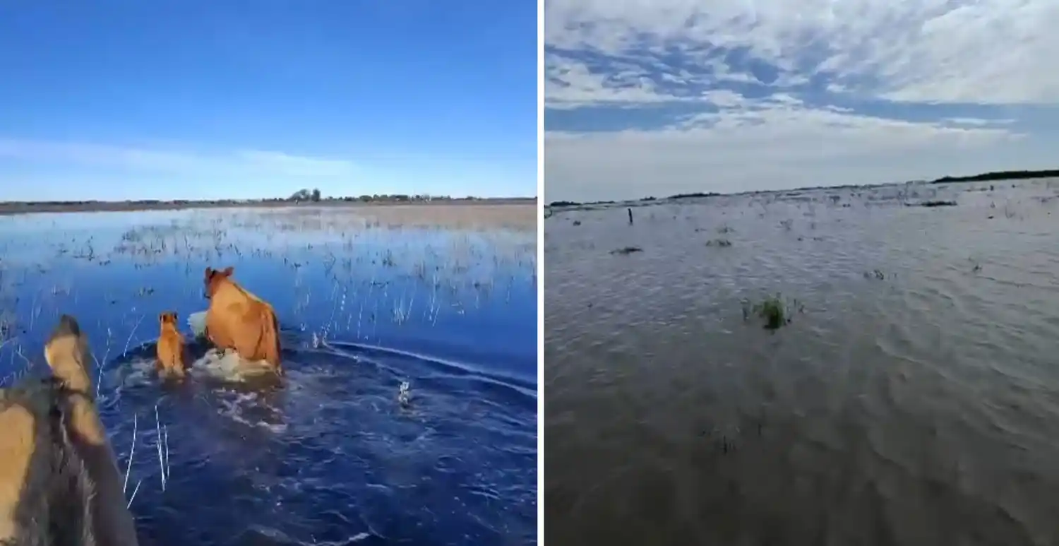 Larrañaga advirtió que la reactivación del tramo IV.2 del Salado es “solo parcial” y exigió que la Nación acelere las obras