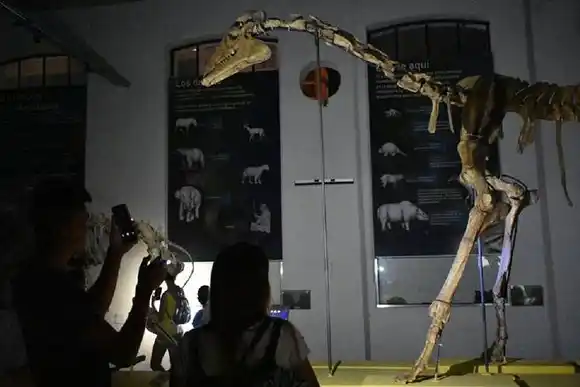 El Museo Antonio Serrano elegido para participar de la Factoría de Museos