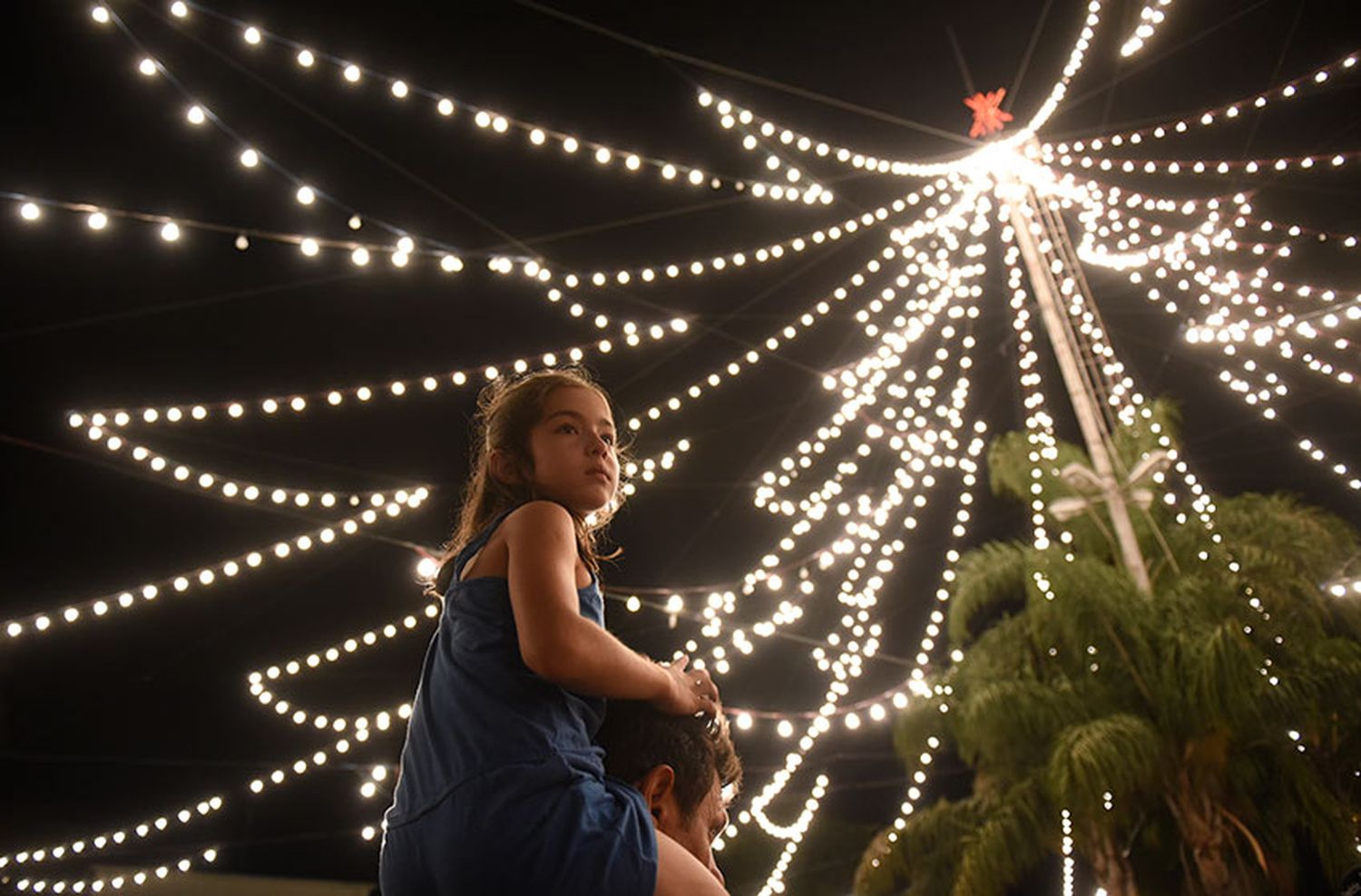 Se encendió el tradicional árbol de Navidad