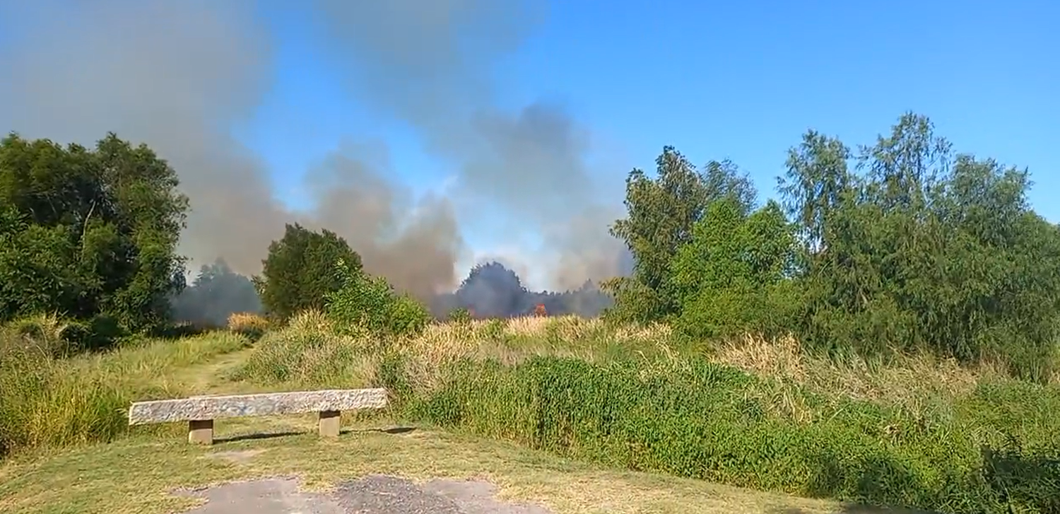 Dos dotaciones de Bomberos sofocaron incendio en el Paseo Público 2