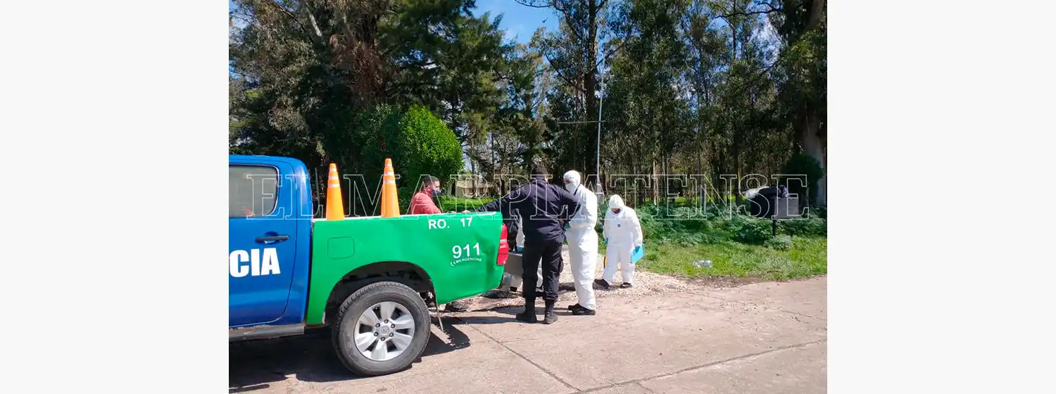 Crimen en Las Canteras: la bala que asesinó al vecino estaría en la pata de su perro