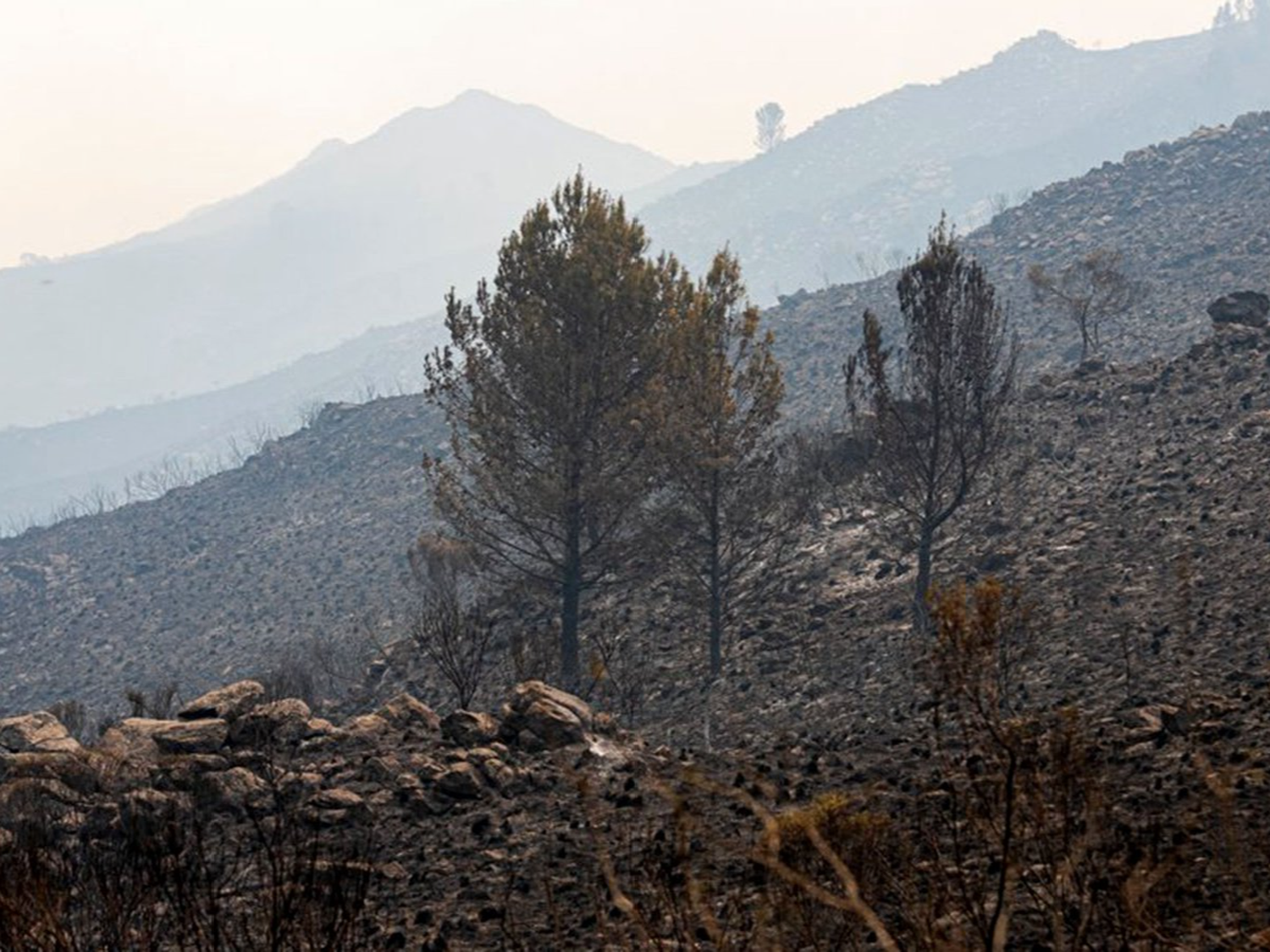 Llovió en Córdoba después de cinco meses y se extinguieron todos los focos de incendios serranos