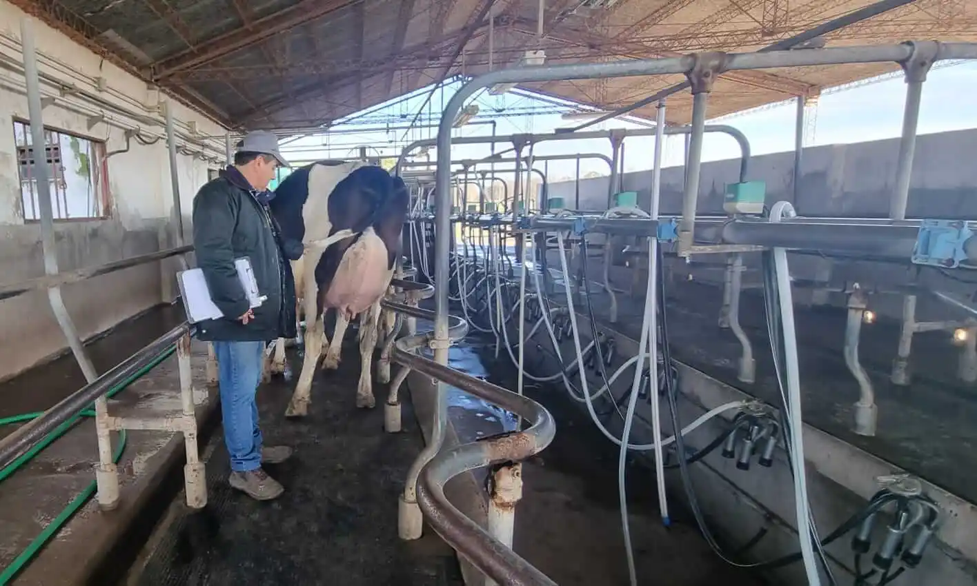 Comenzó el recorrido de tambos en el 8° Concurso de Vacas a Campo