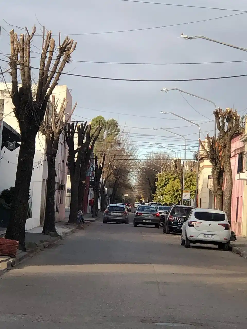 Indiscriminada poda de árboles en zona céntrica