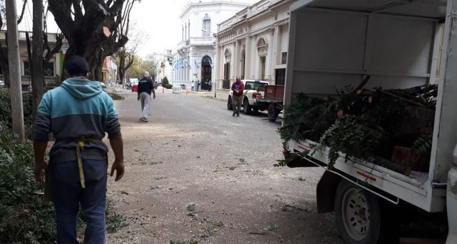 A pesar de las dudas sobre su implementación, aprobaron el “Banco de Leña”