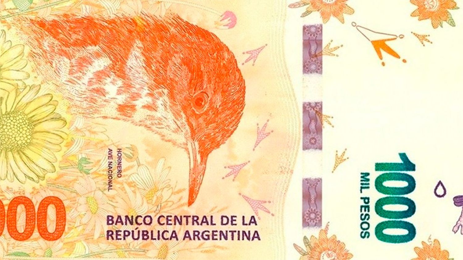 Crece la circulación de billetes de mil: Cómo prevenirse de los falsos