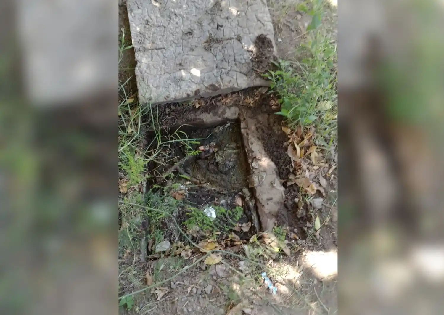 Cloaca tapada