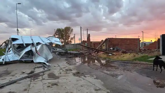 Fuerte y sorpresivo temporal en Carlos Casares: Volaron techos y cayeron árboles