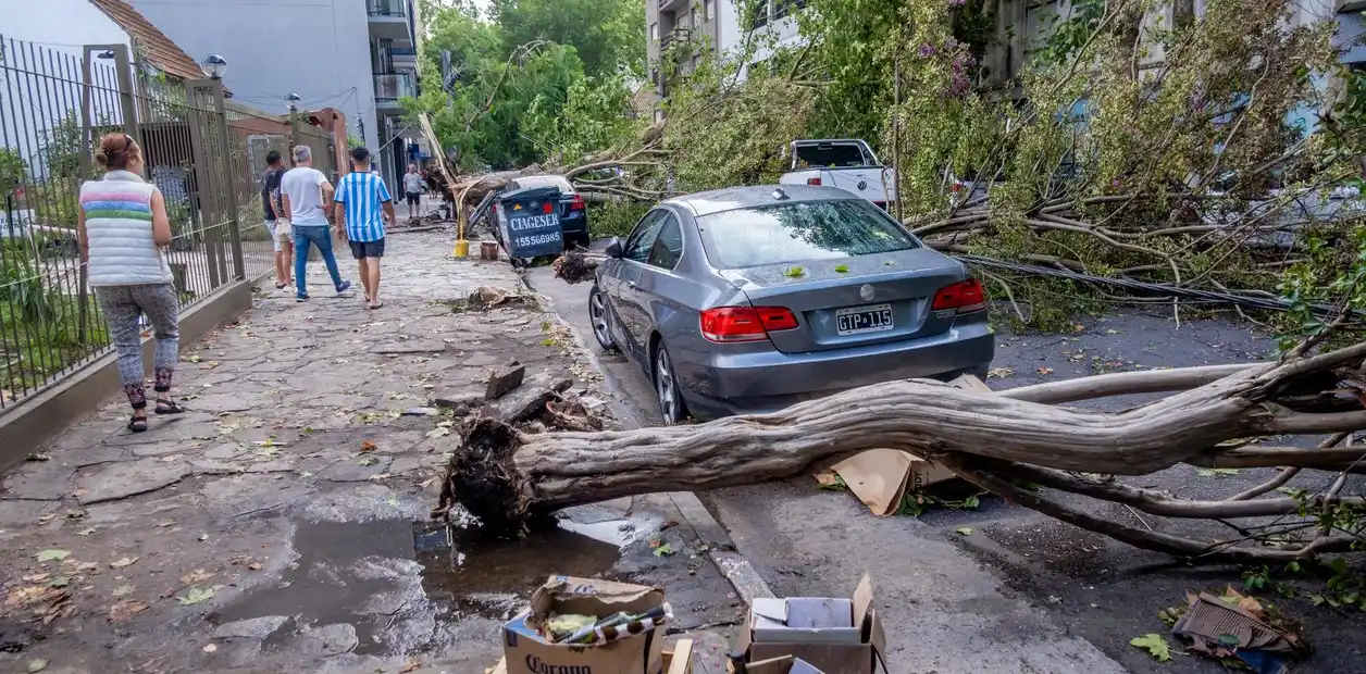 Mar del Plata: un violento temporal generó destrozos por la madrugada