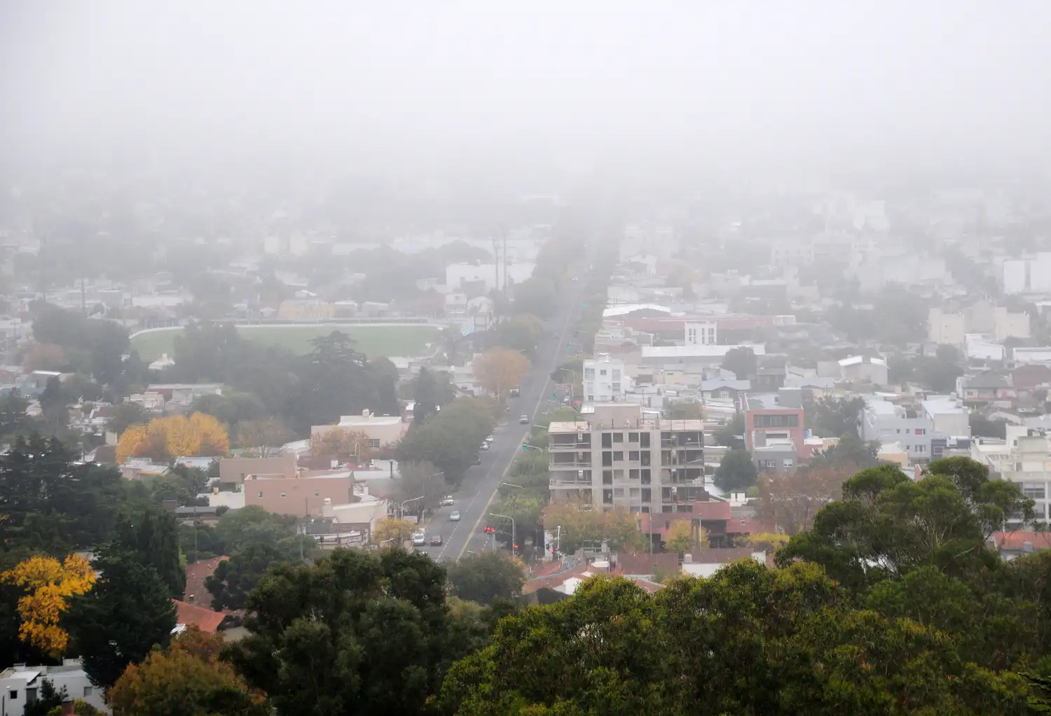 Rige una advertencia violeta en Tandil por la presencia de niebla persistente.