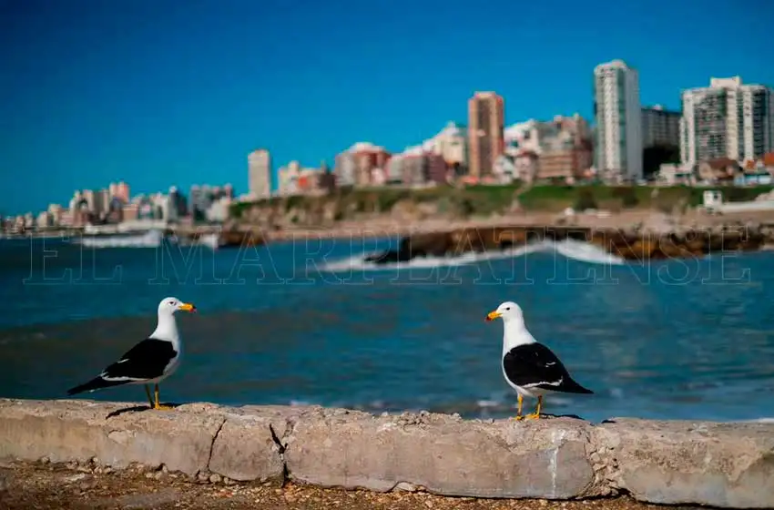 El mejor día de la semana será el viernes, con máxima de 22°.