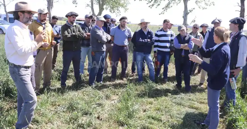 Los visitantes se enriquecieron con conocimientos prácticos y experiencias de agricultores locales.