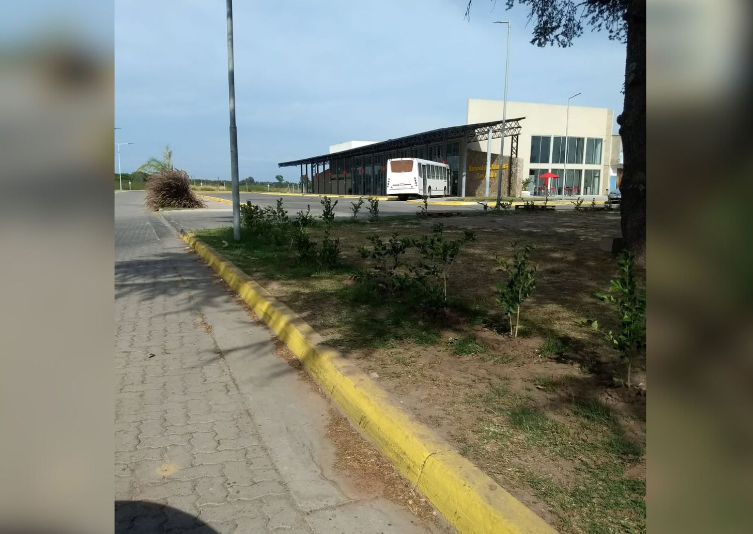 "No fue en vano la nota de la Terminal"