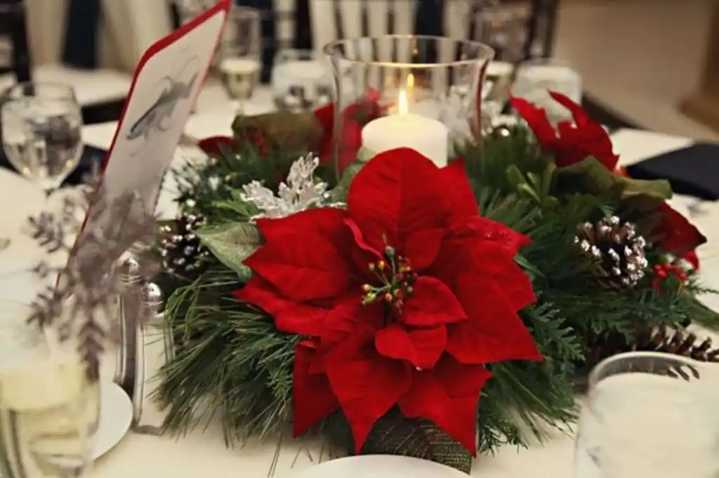 Flor de nochebuena: un símbolo que no puede faltar en tu mesa de Navidad