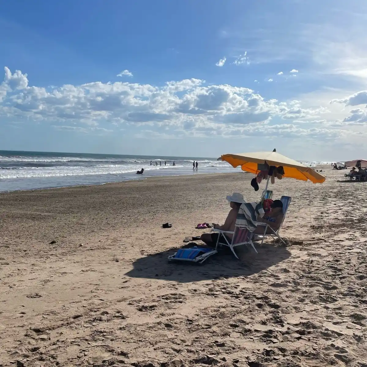 Playa. Los viajes se llevarán a cabo los fines de semana.