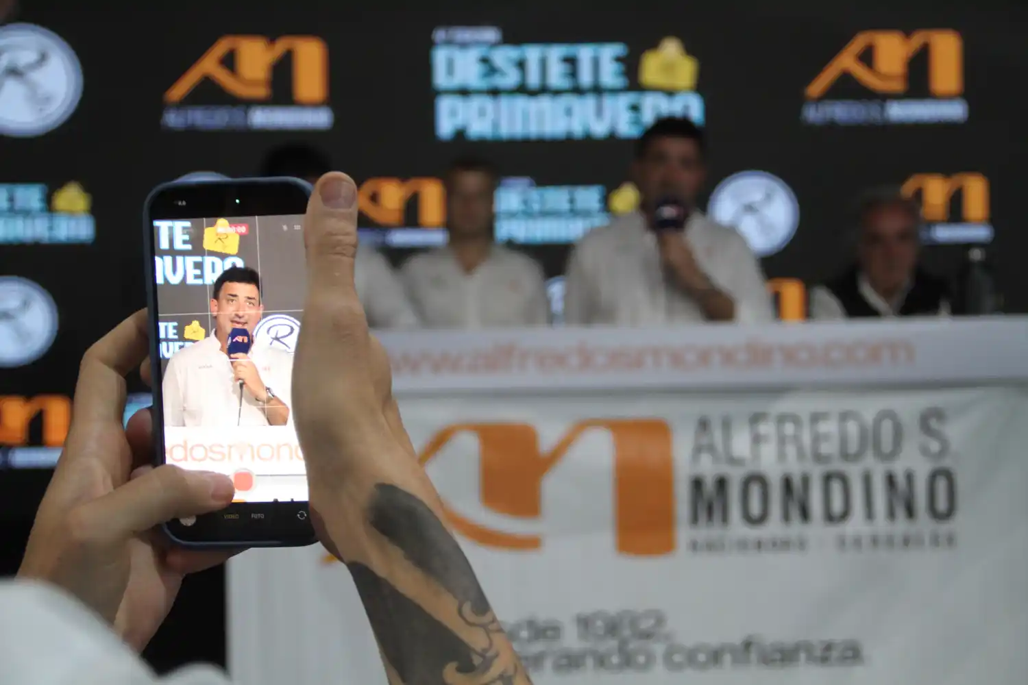 mondino faenar 2