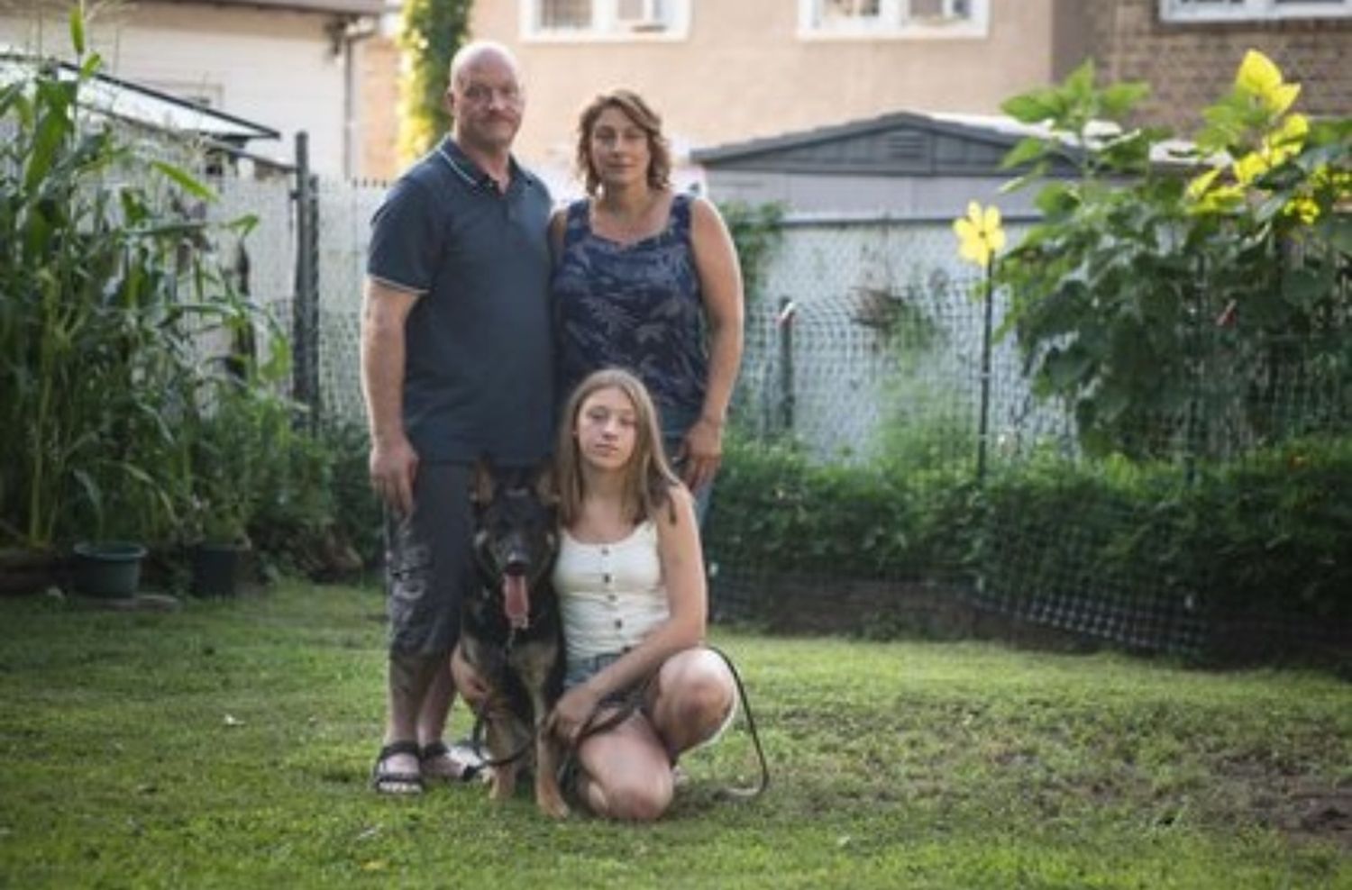 Murió Buddy, el primer perro con coronavirus en Estados Unidos