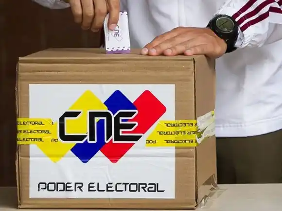 "La democracia se ejerce a través del voto": opositores llaman a manifestarse en las urnas