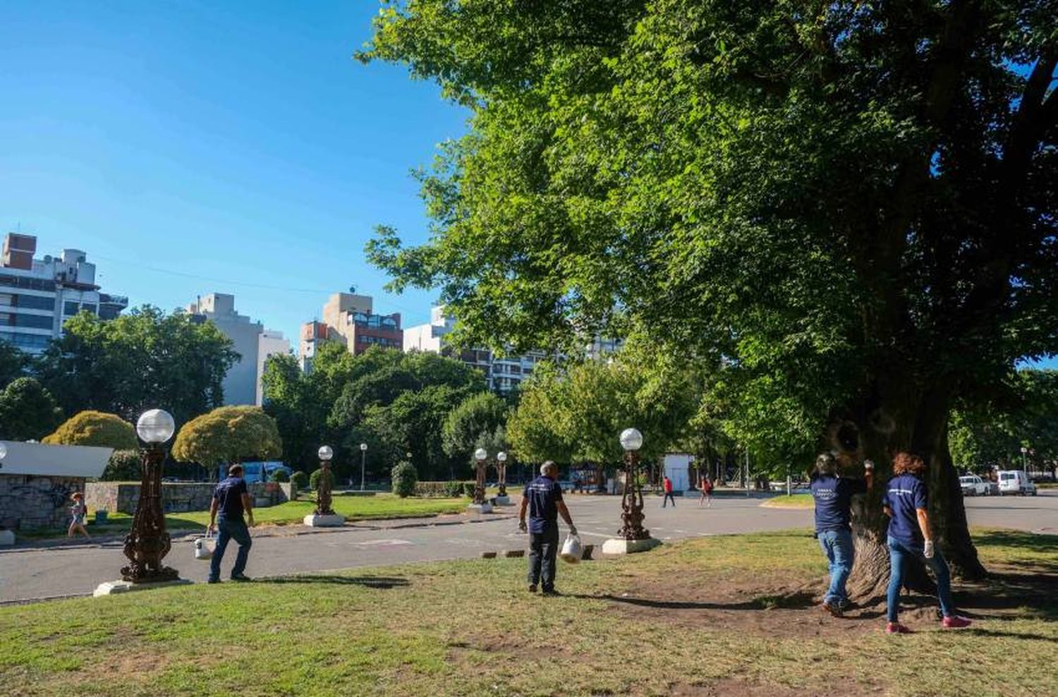 Continúa la campaña intensiva de desratización de espacios públicos