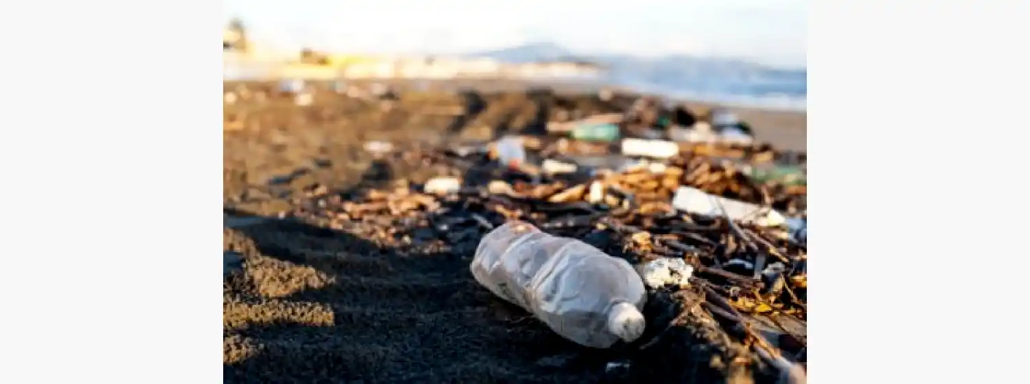 "Tanto los comerciantes, como los empresarios, deben cumplir con las leyes"