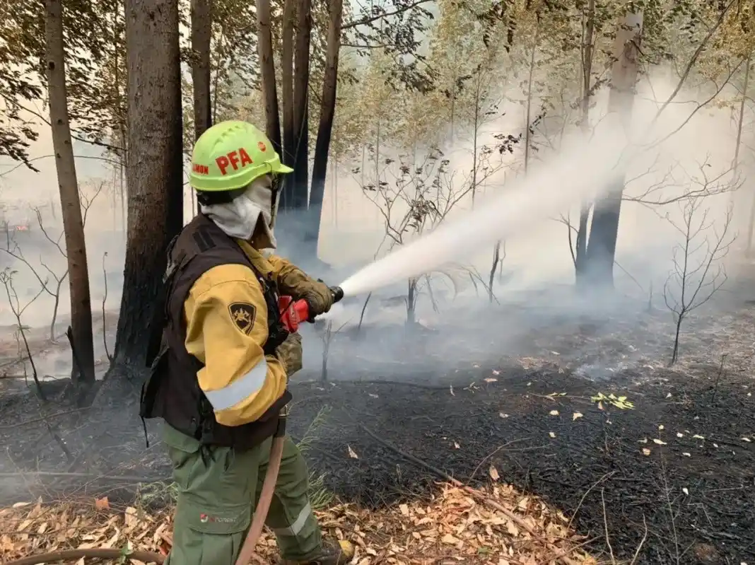 Logran controlar un foco de incendio forestal en Entre Ríos