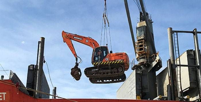 Se exportarán troncos de pino a China desde  Entre Ríos