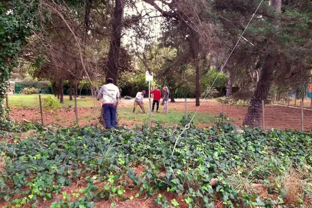 villa del deportista