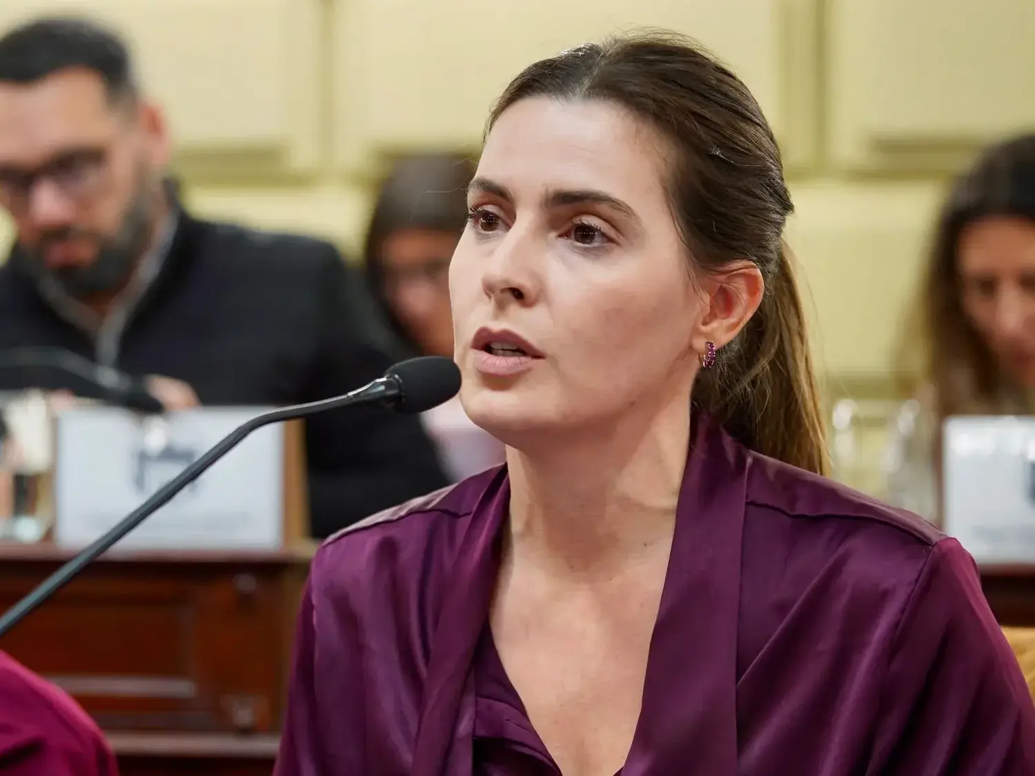 Cattalini propuso unificar las reglas para enjuiciar a jueces, fiscales y defensores en Santa Fe