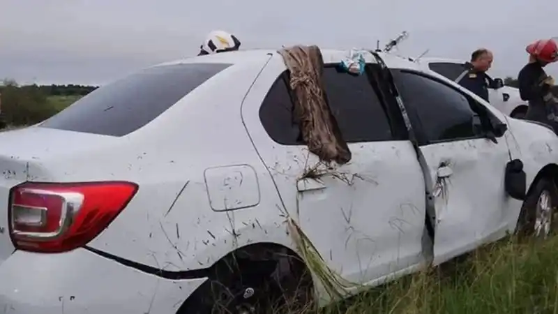 Un hombre murió tras chocar su auto contra un carpincho sobre ruta 12