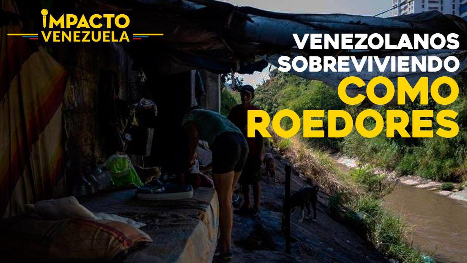 ¡Venezolanos subterráneos! Una nueva manera de vivir