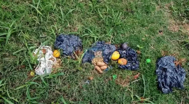 Conmoción en Entre Ríos por aparentes ritos umbandas con animales muertos