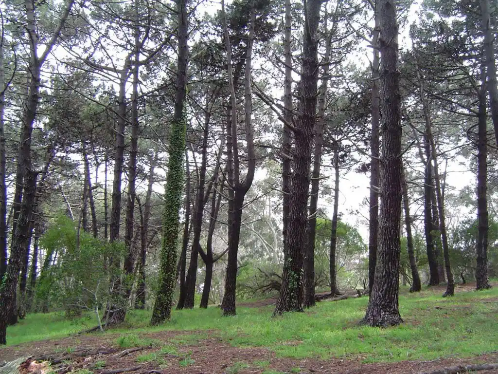 El calendario de eventos de la Provincia busca  incentivar el turismo bonaerense