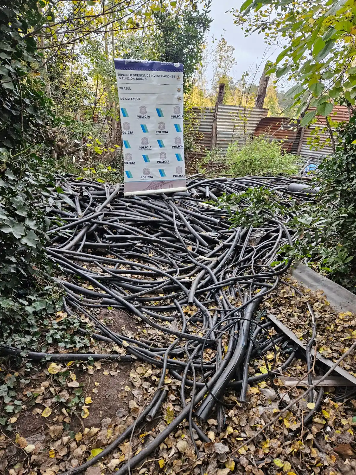 allanamiento martineta 18-05-24 - 1