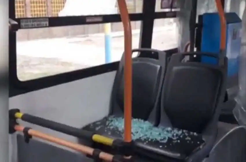 Preocupación por el aumento de ataques a colectivos en la región: la postura del gremio