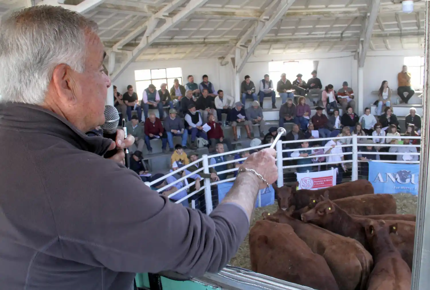 “De productores para productores”, cuando la unión hace las ventas