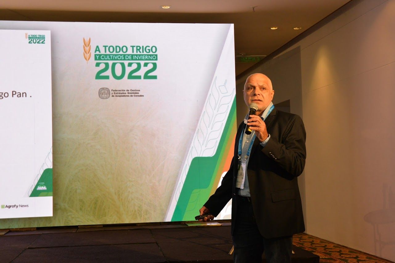 Los nuevos y no tan nuevos trigos que quieren salir a ganar mercados