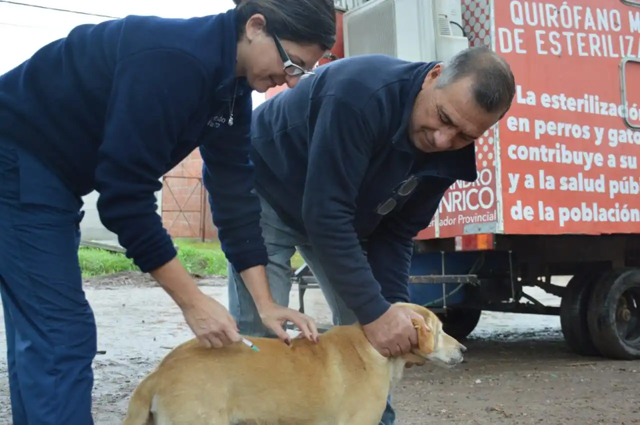 Jornadas de salud animal con buena respuesta en barrio Villa Casey