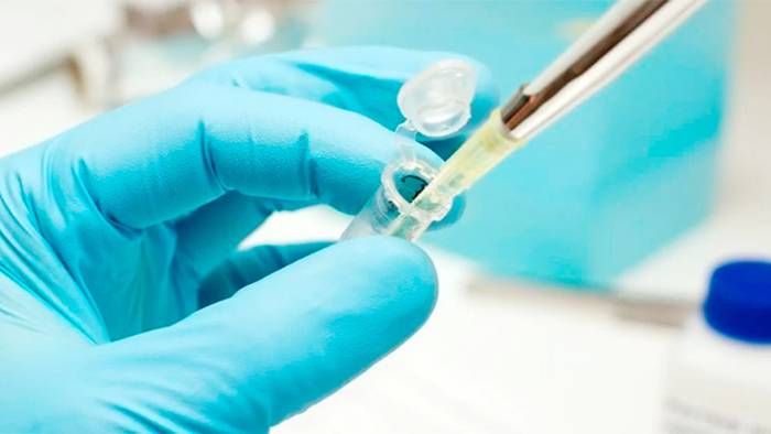 Mataron a su pareja y ella logró que le autoricen la fecundación �Spost mortem⬝